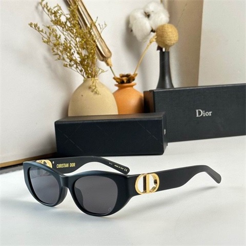 Dior sunglass-040